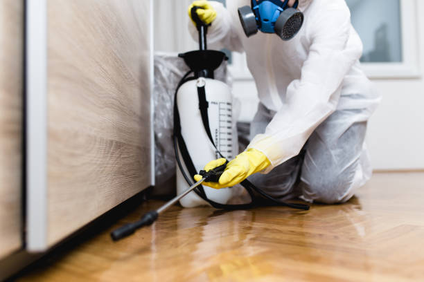 Best Local Pest Control Services  in Lamar, MO