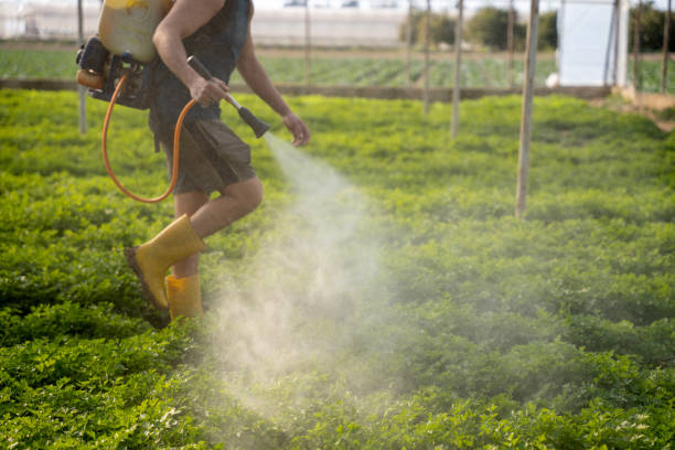 Best Best Pest Control Companies  in Lamar, MO