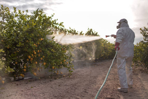 Best Pest Removal Services  in Lamar, MO