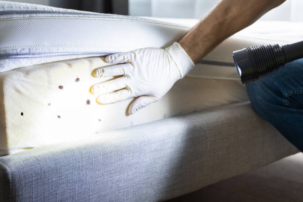 Best Commercial Pest Control Services  in Lamar, MO