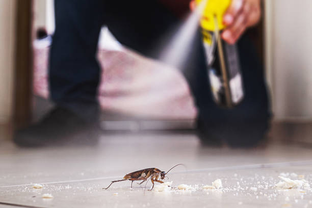 Best Pest Prevention Services  in Lamar, MO