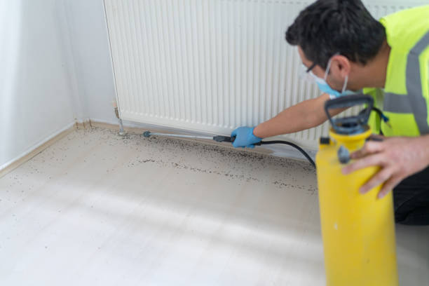 Best Flea Control Services  in Lamar, MO