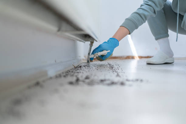 Best Best Pest Control Companies  in Lamar, MO