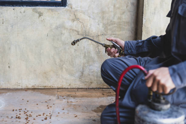 Best Pest Removal Services  in Lamar, MO
